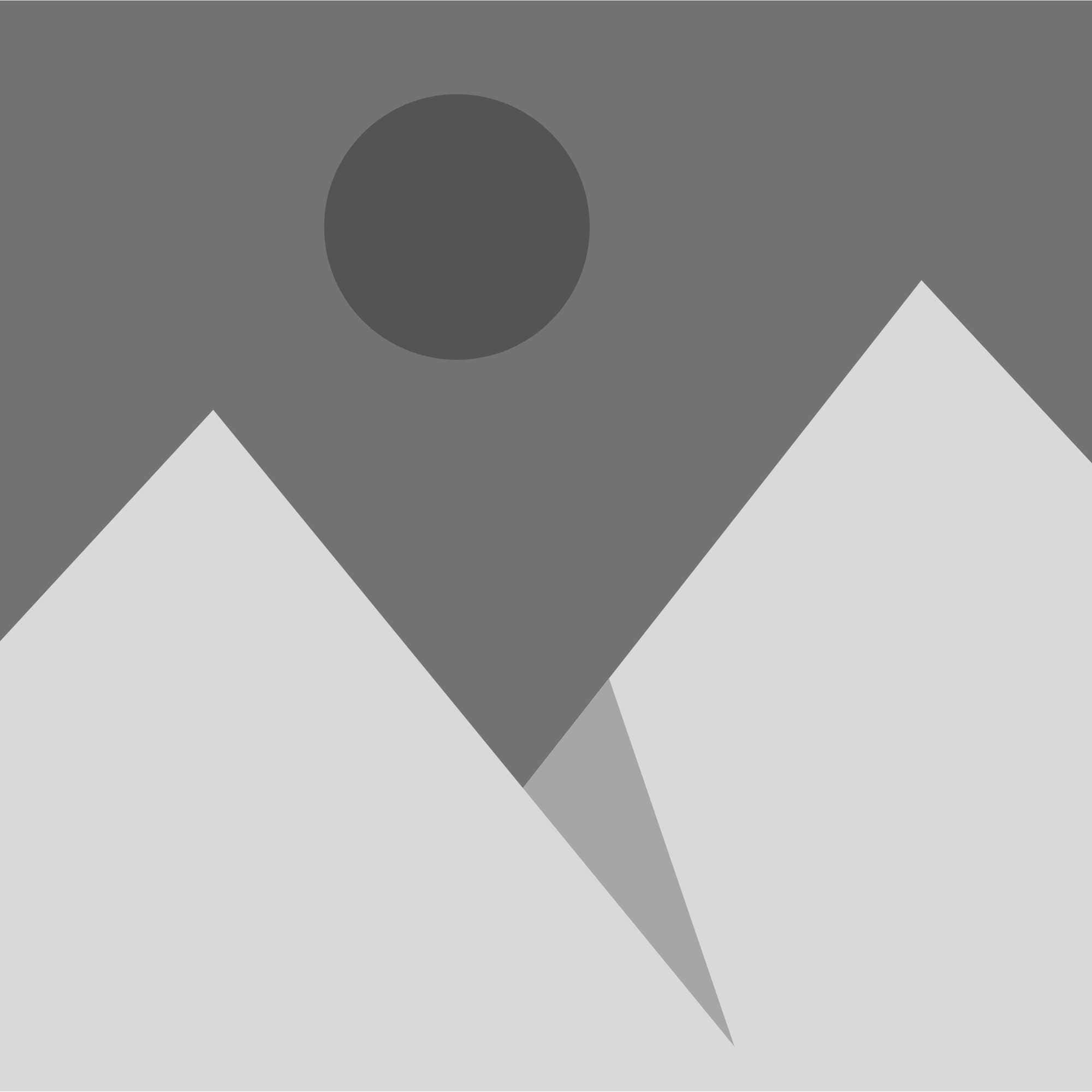 Gray placeholder image featuring two light gray mountain peaks against a dark gray background, with a dark gray circle representing the sun or moon above&mdash;ideal for landscaper Citrus projects in Sumter or Hernando County.