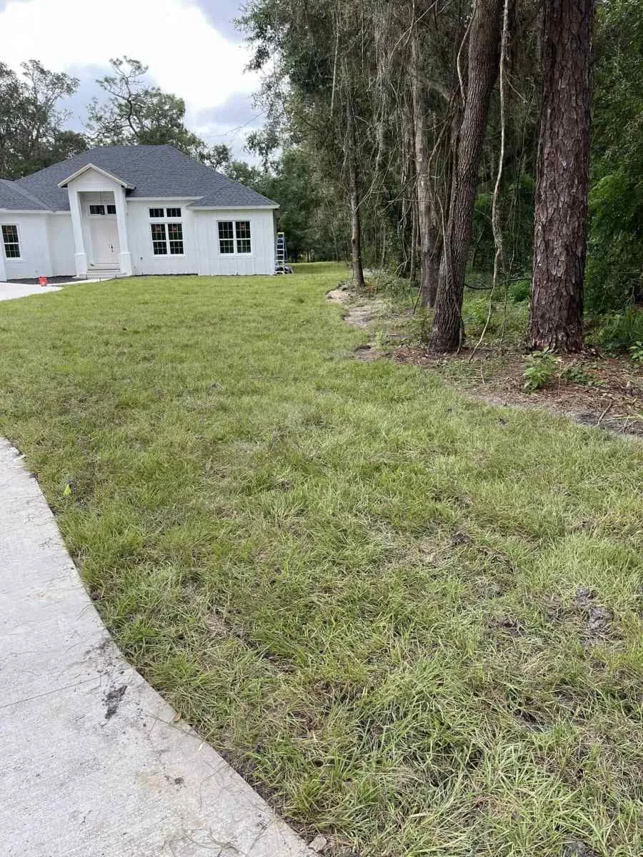 A white house with large windows sits at the end of a concrete driveway, bordered by green grass and tall trees along the right side. This peaceful outdoor scene is found in Sumter, Hernando County, FL under overcast skies.