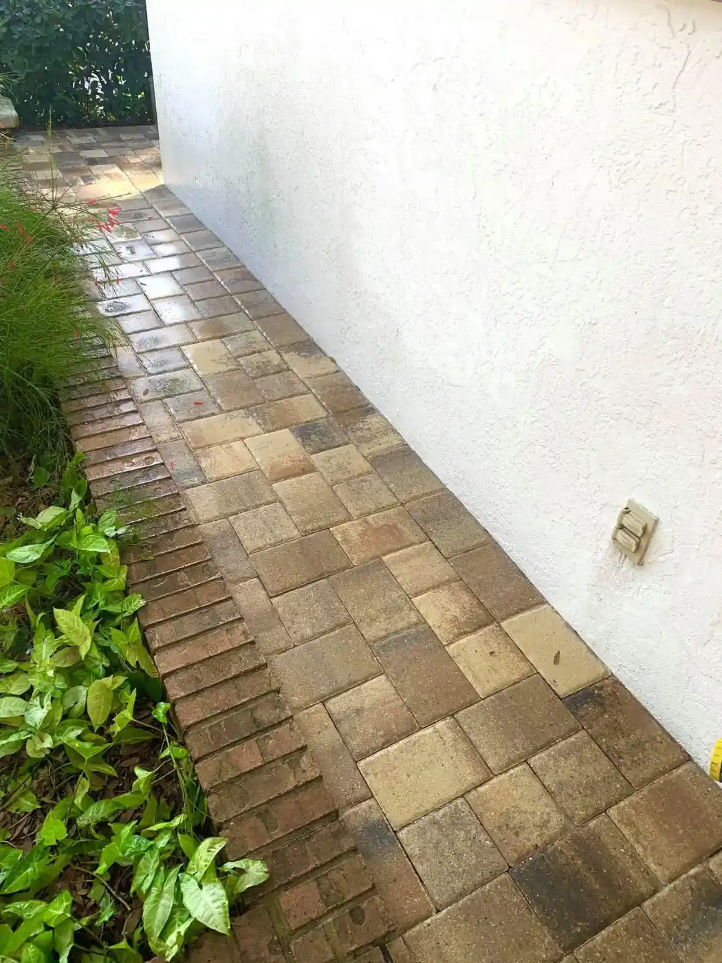 A clean, dry walkway made of rectangular tan and brown pavers—perfectly crafted by a skilled Hernando County landscaper—runs alongside a white stucco wall, bordered by green plants on the left and a small outdoor electrical outlet on the right.