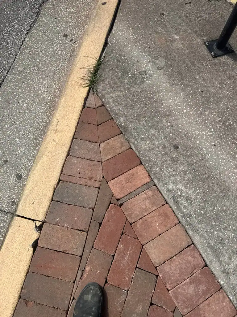 A triangular section of sidewalk with red bricks laid in a herringbone pattern meets concrete pavement and a yellow curb; a tuft of grass grows at the corner. A shoe is partially visible at the bottom edge in Sumter, where a Landscaper Citrus, FL might work.