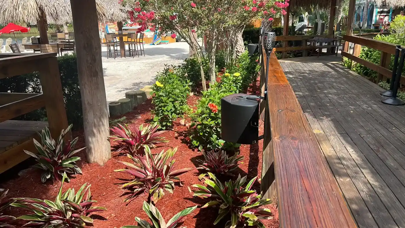 A garden with red mulch, green and purple plants, and blooming flowers sits beside a wooden deck in Sumter, FL. In the background, there are tables, chairs, and colorful umbrellas near a sandy area.