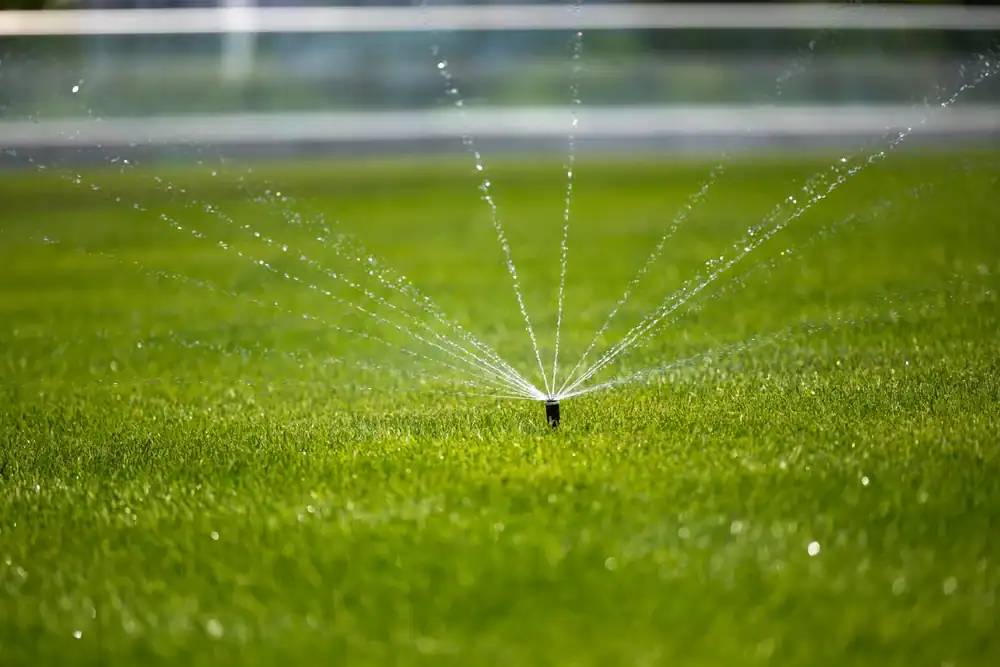 A lawn sprinkler sprays water in a circular pattern, watering bright green grass on a sunny day in Sumter, FL. The background is blurred, emphasizing the lush, well-maintained lawn expertly cared for by Landscaper Citrus.