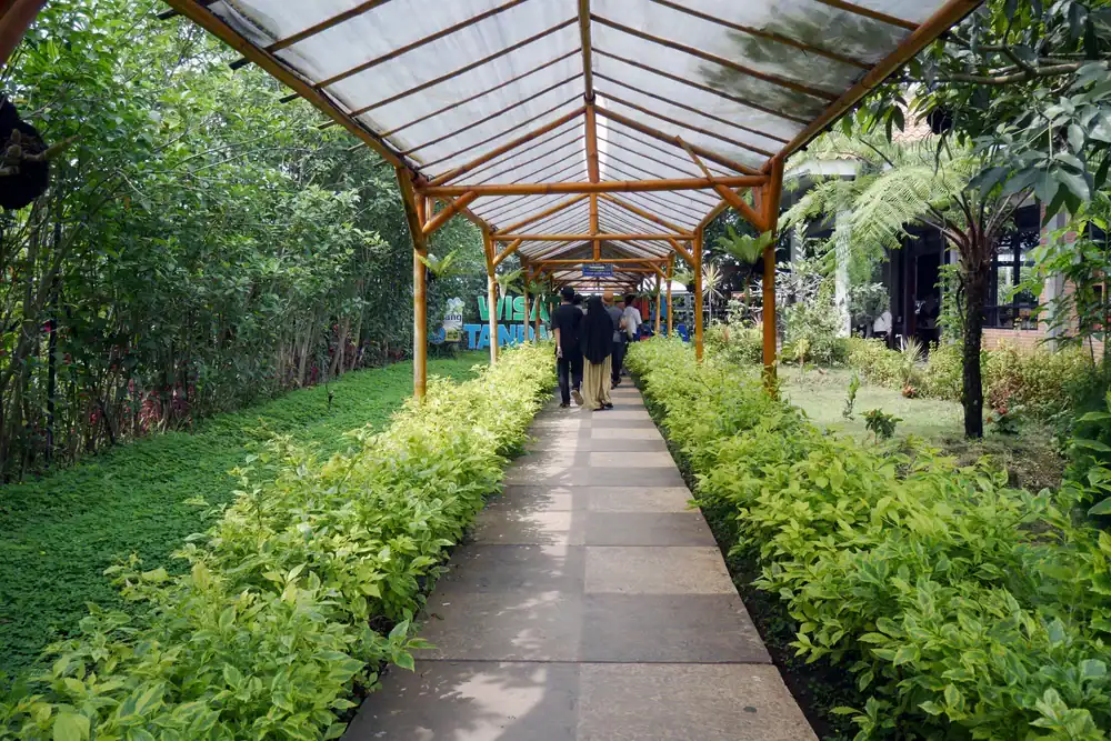 A covered walkway with a transparent roof, lined with lush green plants on both sides. Several people are walking under the structure, surrounded by trees and dense foliage&mdash;expertly maintained by Landscaper Citrus in Sumter, FL.
