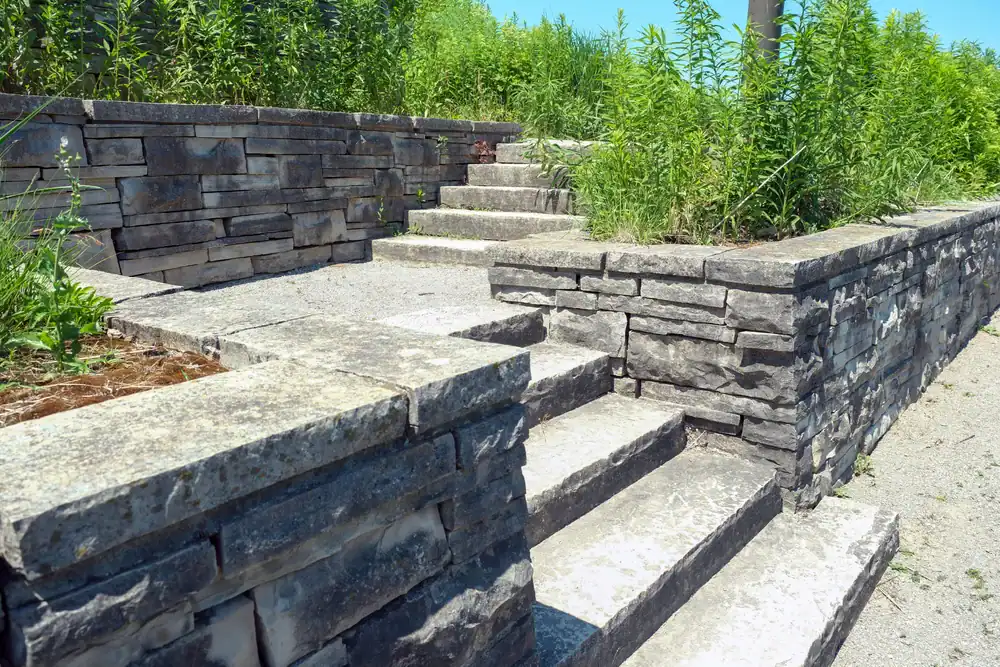 Stone steps and retaining walls with overgrown green weeds and plants between the cracks, surrounded by dense vegetation in sunny Hernando County, FL.