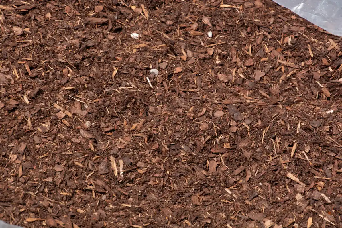 Mulch Ground Texture Hernando County Florida